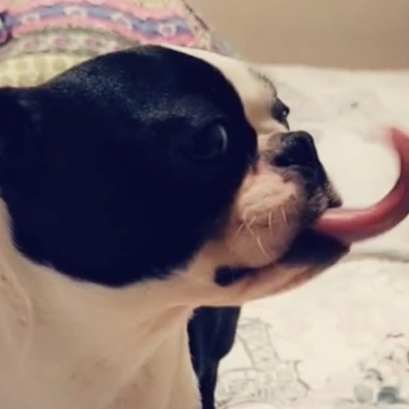 ❤ For Gemstone Jewelry Live Show Alerts! ❤️❤ Items For An Offer! - Picture 14 of 17